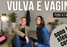 Vulva e vagina